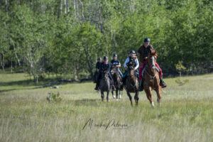 Old Wagon Trail 2025