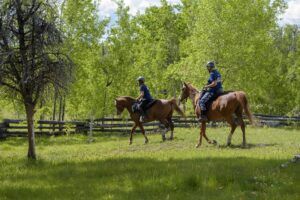 Cariboo Gold Rush Express 2026
